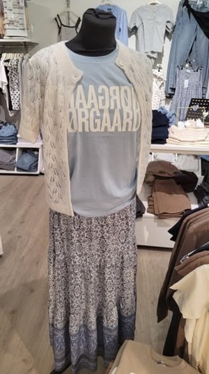 opslagsbillede