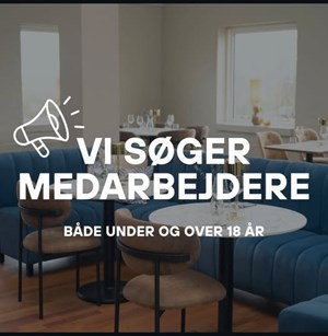 opslagsbillede