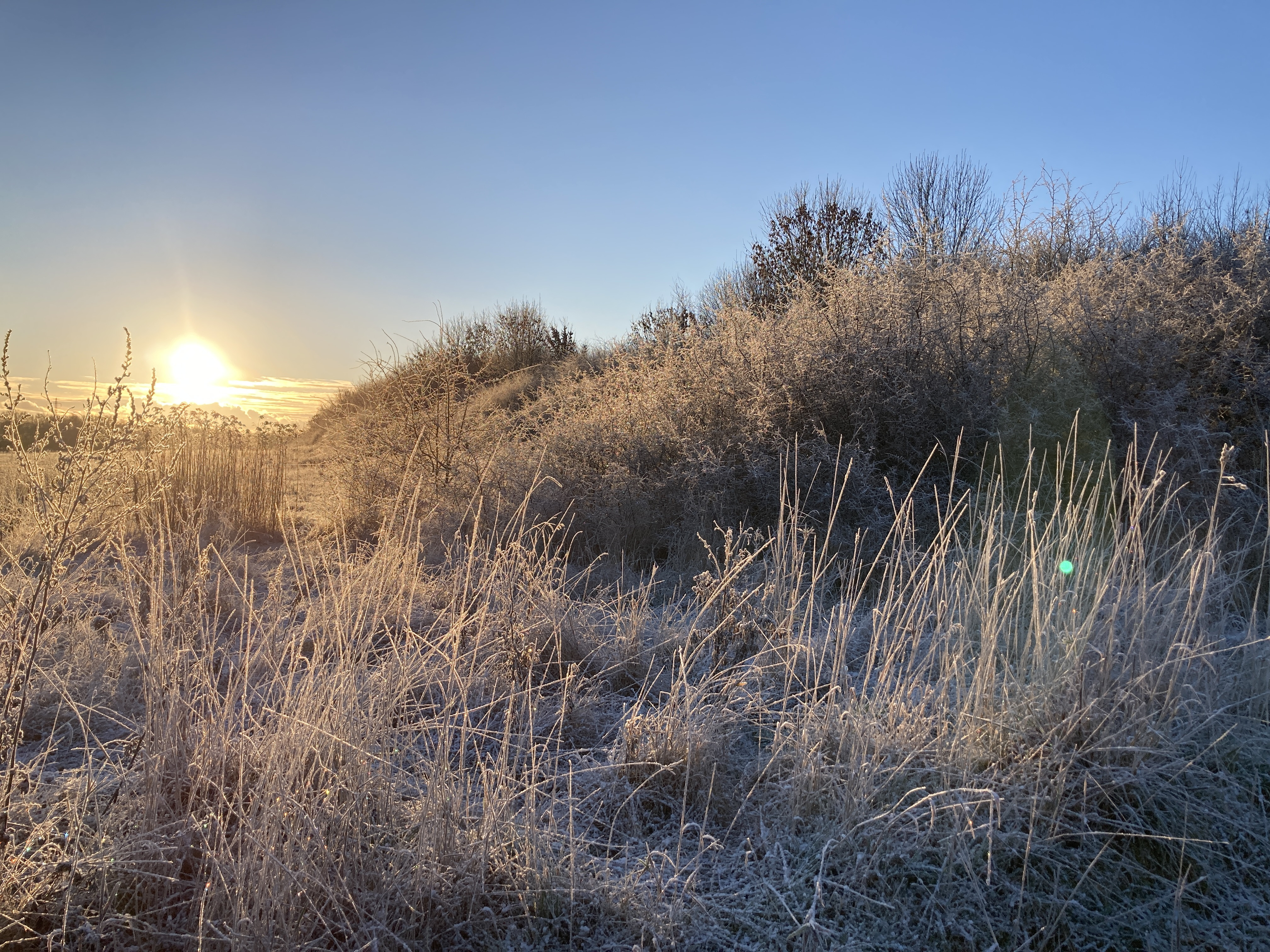 Jul og vintersolhverv i Kroppedal Museumshave