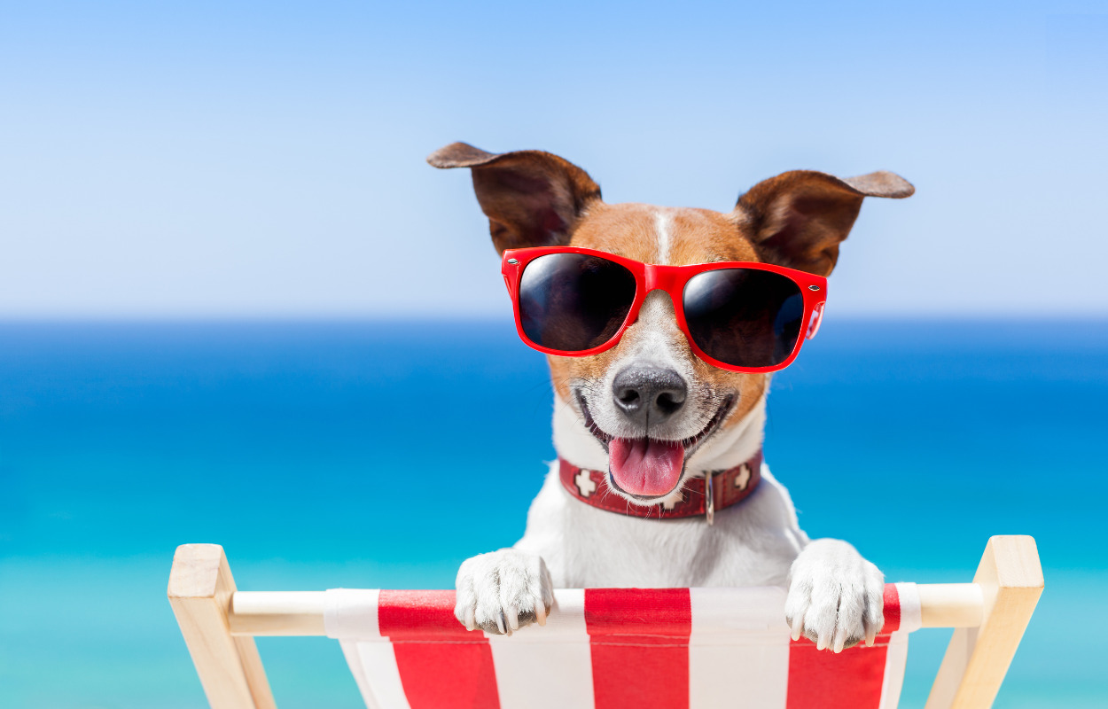 Sommer i City Kolding: Se programmet 