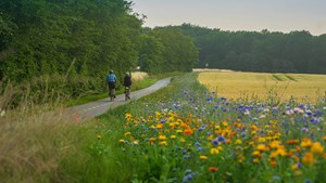 Tag med på cykelrundtur på Midtlangeland