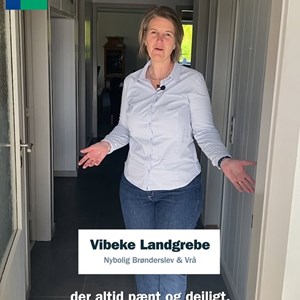 opslagsbillede