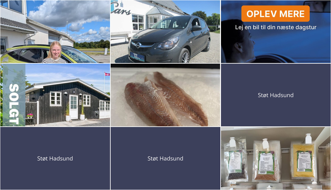 Nyt fra TT CARS ApS, Rie & Henrik's Tøjbiks v/Rie Olesen, Oscar Biludlejning og 3 andre