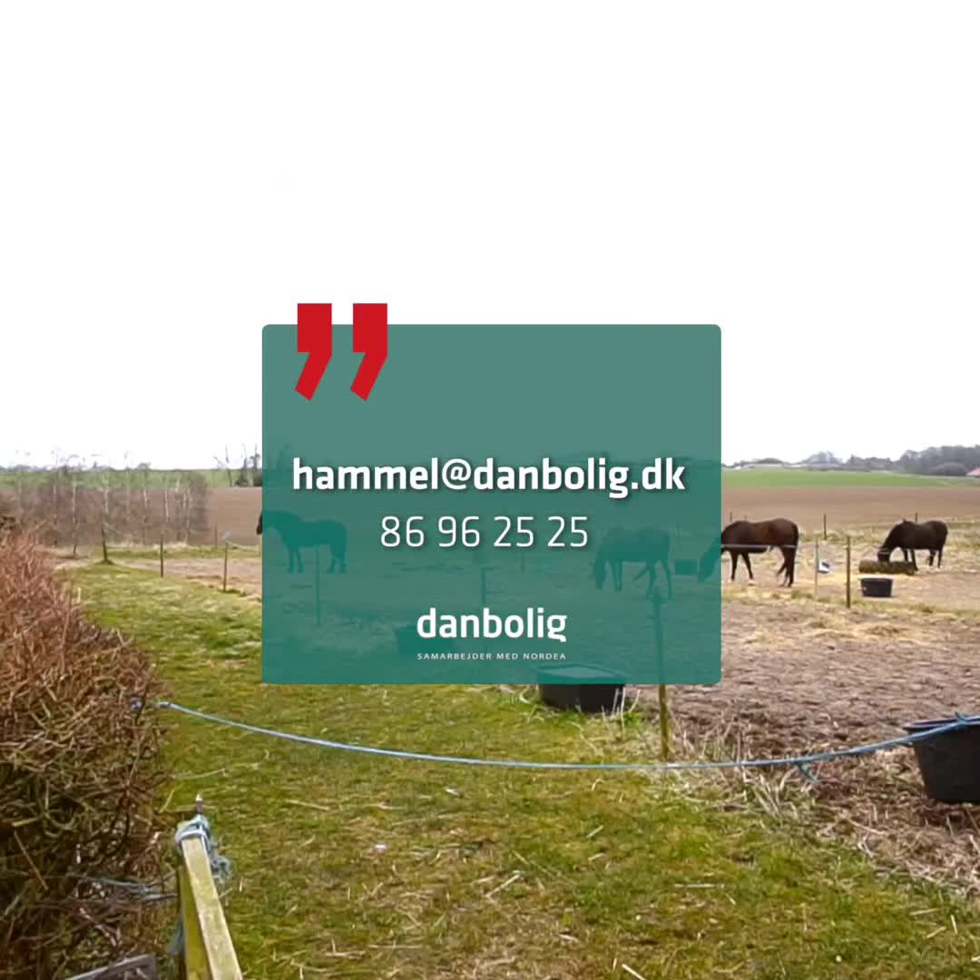 Det nyeste på Hammels opslagstavle