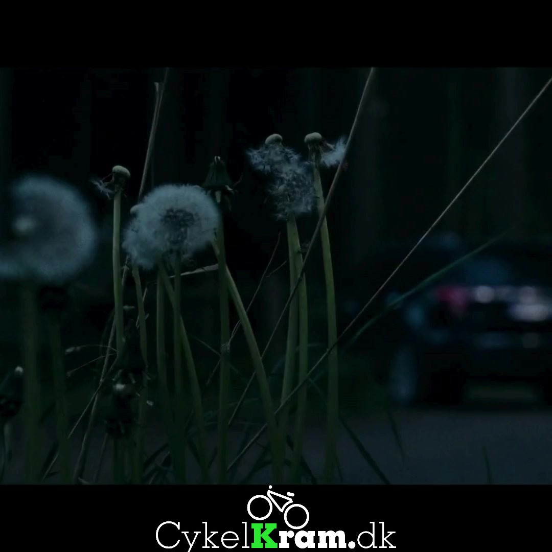 Nyt fra Cykelkram ApS