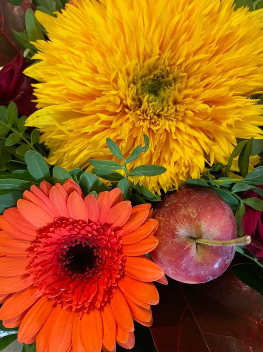 Opdatér dig her: Det nyeste fra Roslev