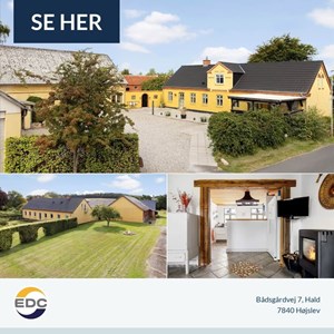 Opslagsbillede
