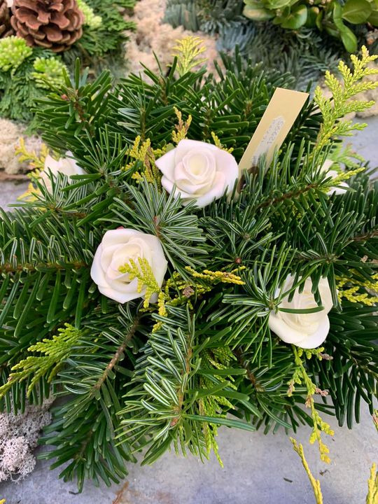 Hold trit med lokalområdet: Nyt fra Brønderslev