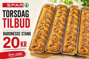 opslagsbillede