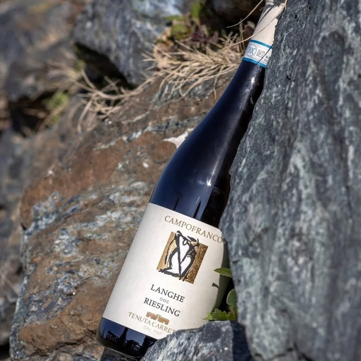 Lahvino Wine & Spirits præsenterer Campofranco Rheinriesling fra Alta Langa