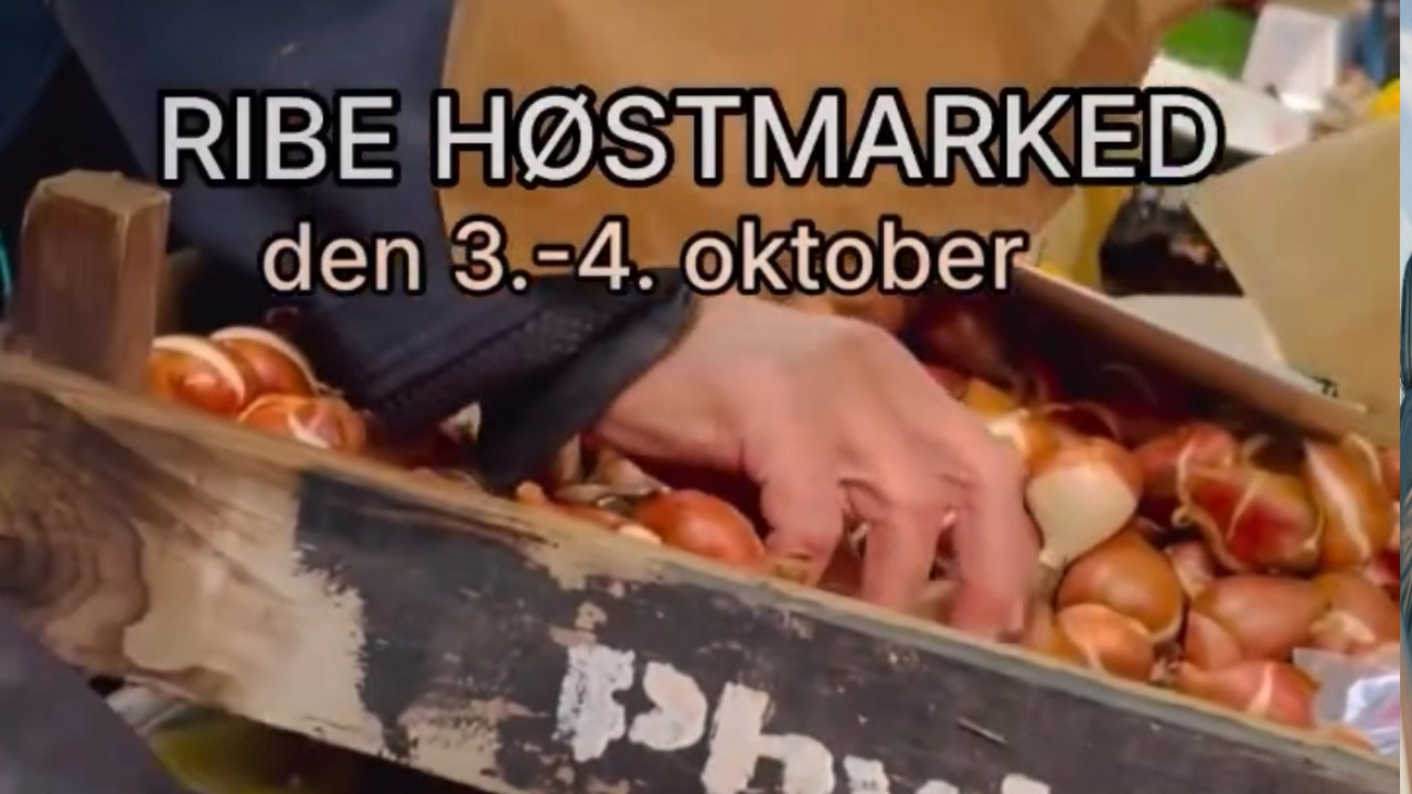 Høstmarked i Ribe: En dag fyldt med efterårshygge