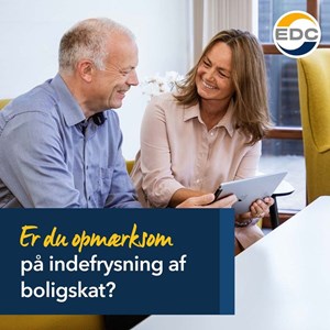 Opslagsbillede