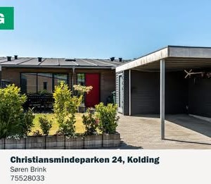 opslagsbillede