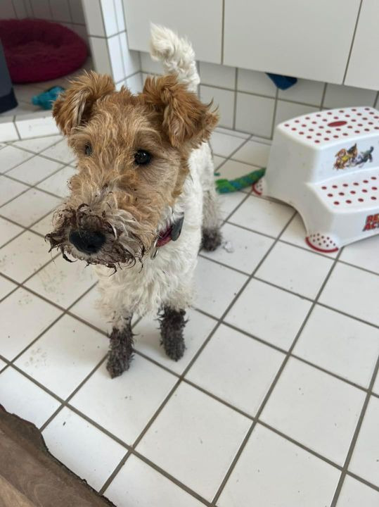 Hold dig ajour med dagens opdateringer fra Sæby