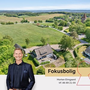 opslagsbillede