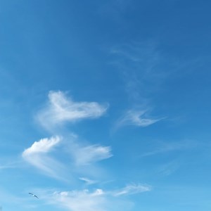 Opslagsbillede