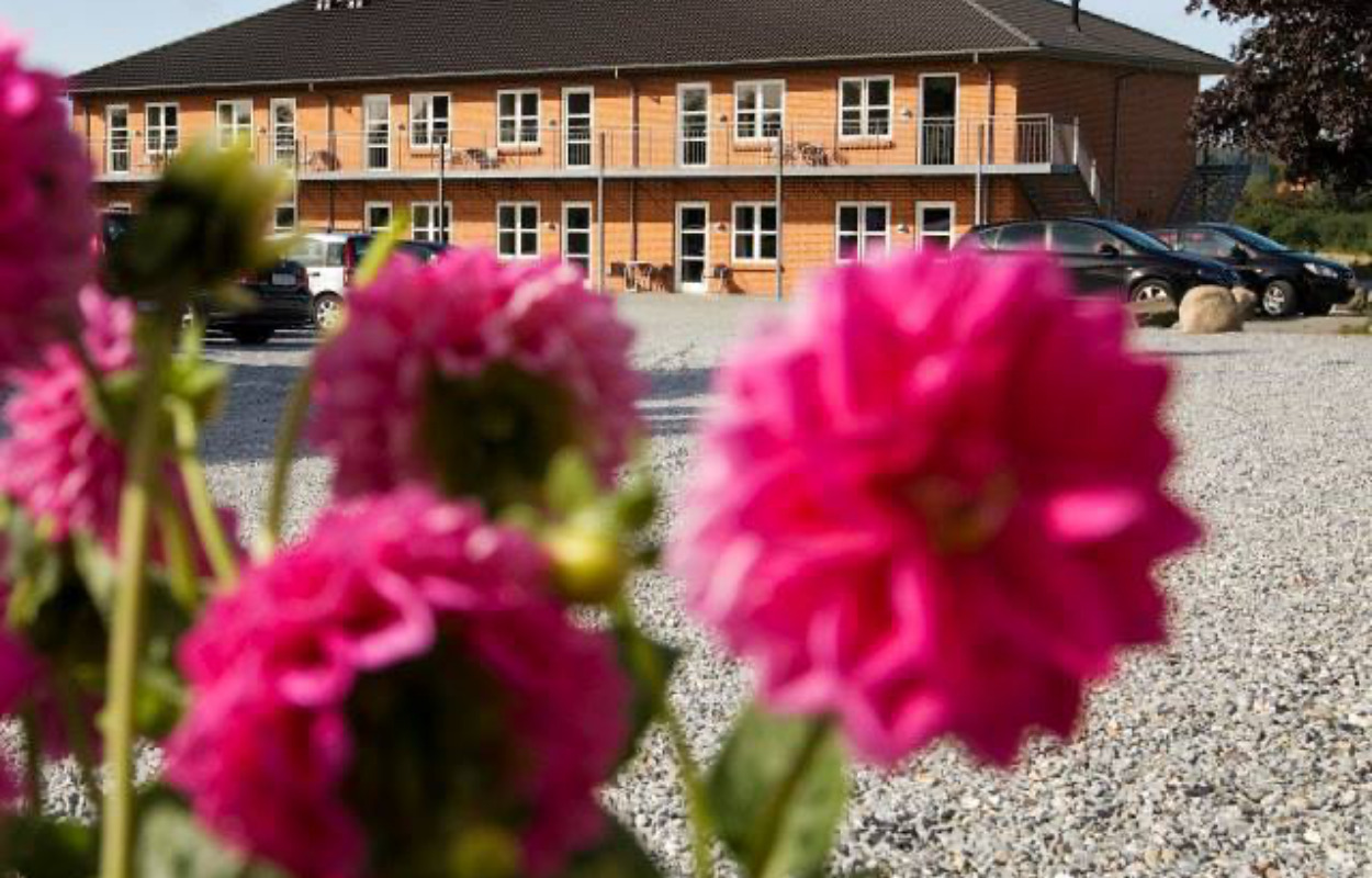 Opdatér dig her: Det nyeste fra Horsens