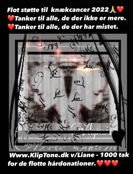 Hold trit med lokalområdet: Nyt fra Skive