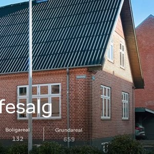 Opslagsbillede