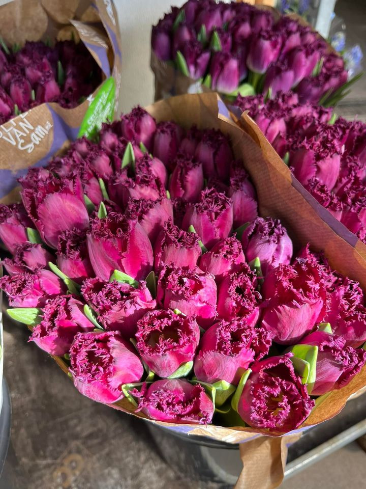 Det nyeste på Horsens’ opslagstavle