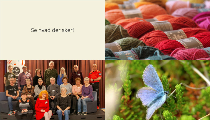 Spændende weekendaktiviteter i Solrød Strand