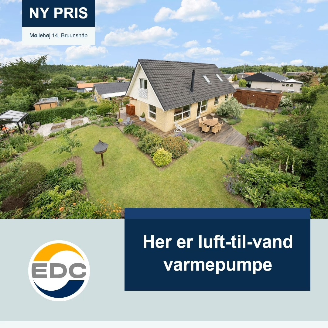 En finger på pulsen i Viborg