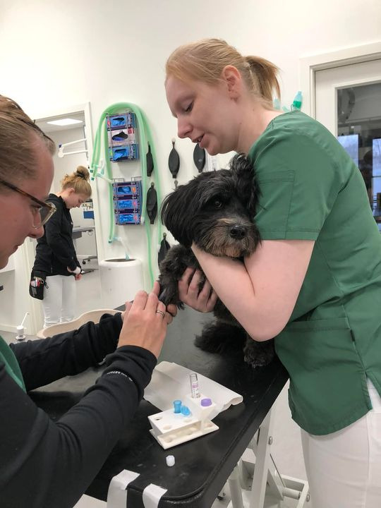 Det nyeste på Hernings opslagstavle