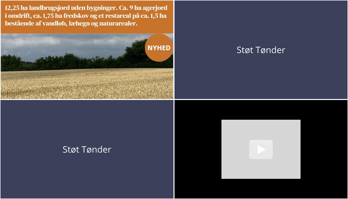 Nyt fra LANDBOGRUPPEN SØNDERJYSK og HOME TØNDER