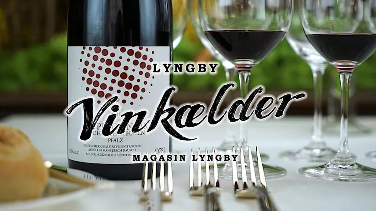 Oplev en aften med vinsmagning i Lyngby Vinkælder