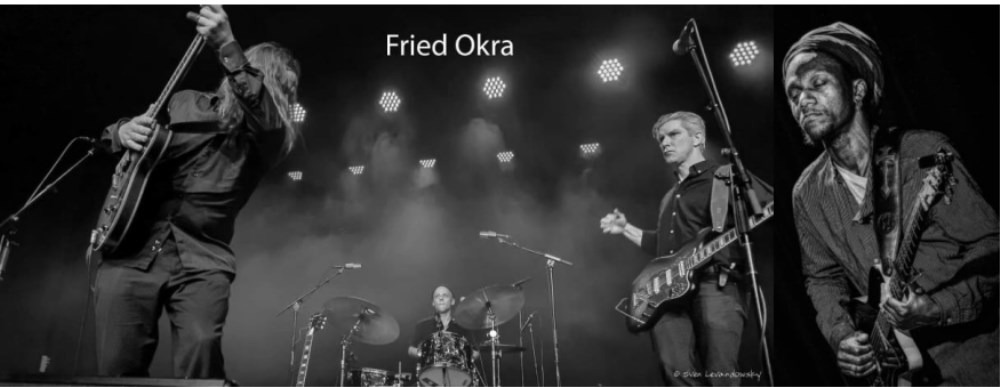 Fried Okra DeLuxe: En aften med blues og roots i Aalborg