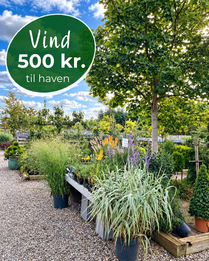 Gug Planteskole udlodder et gavekort på 500 kr.