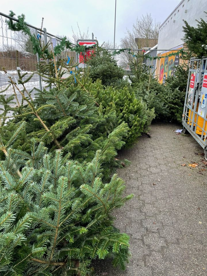 Opslagstavlen: Nyeste opdateringer fra Hjørring