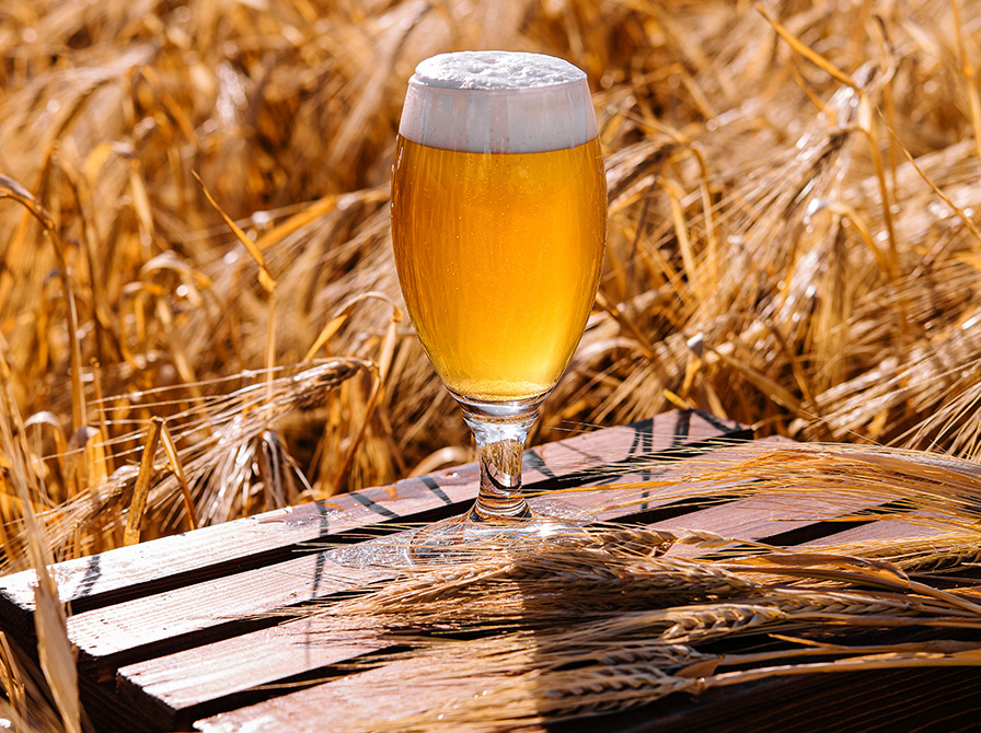 Oplev spændende arrangementer på Haslev Bibliotek