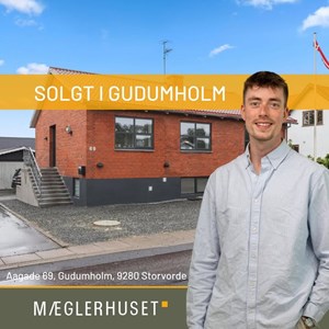 Opslagsbillede