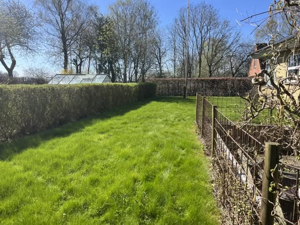 BP Green Garden tilbyder professionel havemandservice for en flot have hurtigt og effektivt