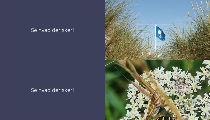 Oplev biodiversiteten i Veksø Sjælland med spændende naturvandringer