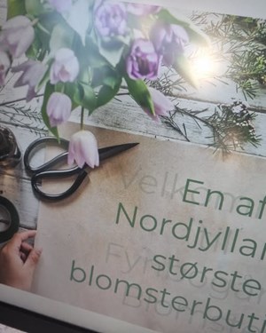 opslagsbillede