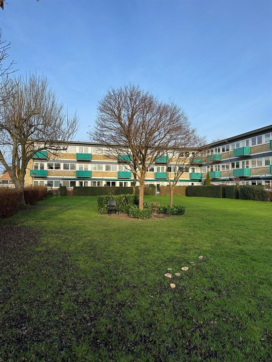 Baunebakkevej 53 og 1 anden boliger er kommet til salg denne uge i Hvidovre - se boligerne her.