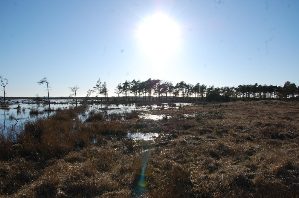 Oplev Nationalpark Thy til fods med "Gå i gang"-ture