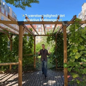 Opslagsbillede