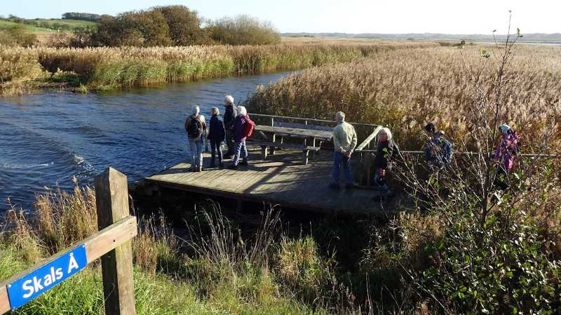 Oplev Skals Enge og Himmerlandsstien med Dansk Vandrelaug