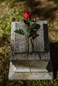 Tips til at finde den perfekte bedemand