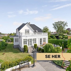 Opslagsbillede