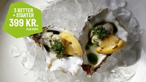 Gastronomisk oplevelse på Café Morville i Viborg