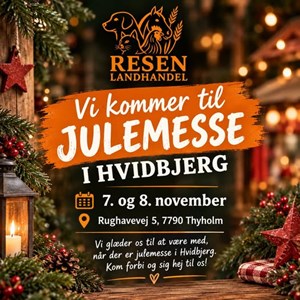 opslagsbillede