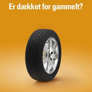 Opslagsbillede