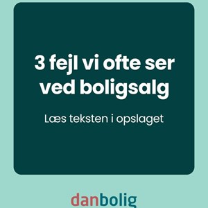 Opslagsbillede