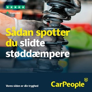 opslagsbillede