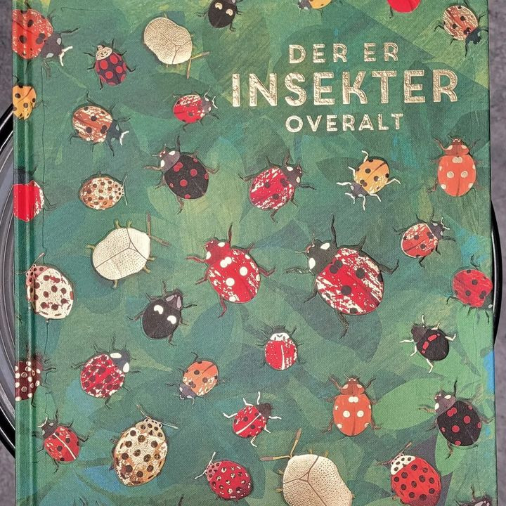 Hold trit med lokalområdet: Nyt fra Silkeborg