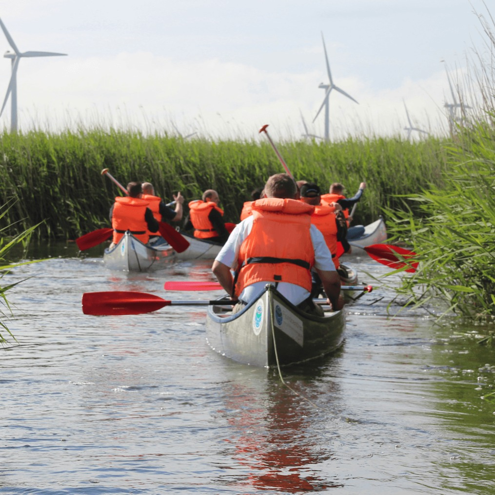 Oplev naturen ved Randers Fjord: Kanotur og sanketur i Ørsted